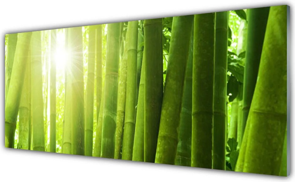 Panel Kuchenny Świeżość Zielonego Bambusa