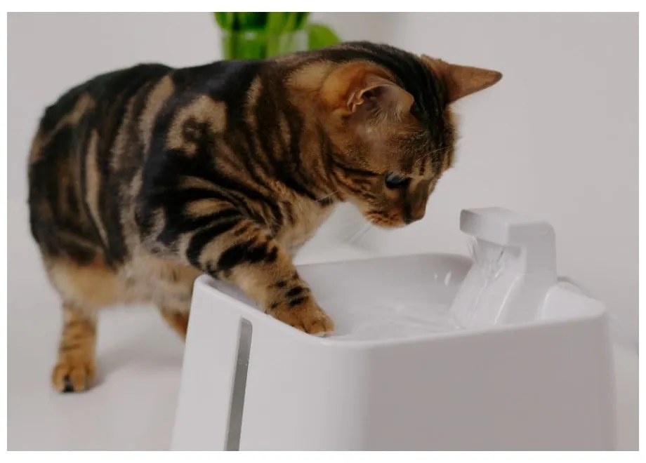 Poidełko fontanna dla czworonoga Epic Pet Zen – Plaček Pet Products