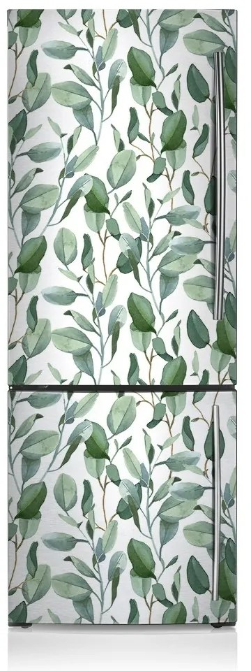 Okleina magnetyczna na lodówkę Liście eukaliptusa
