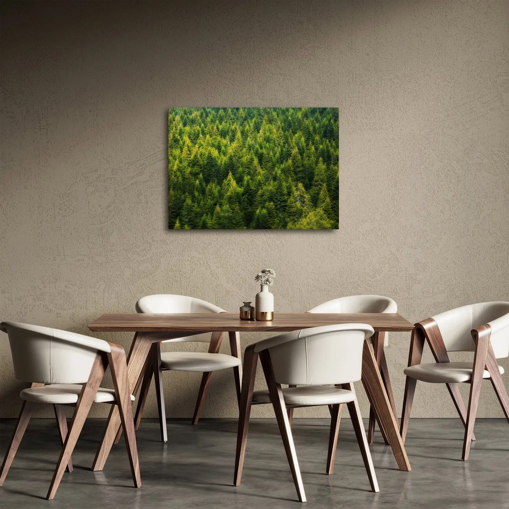 Obraz - Gęsty las (70x50 cm)