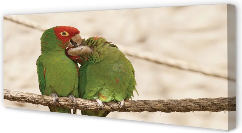 Obraz canvas na ścianę Zielone Papugi w Gęstwinie
