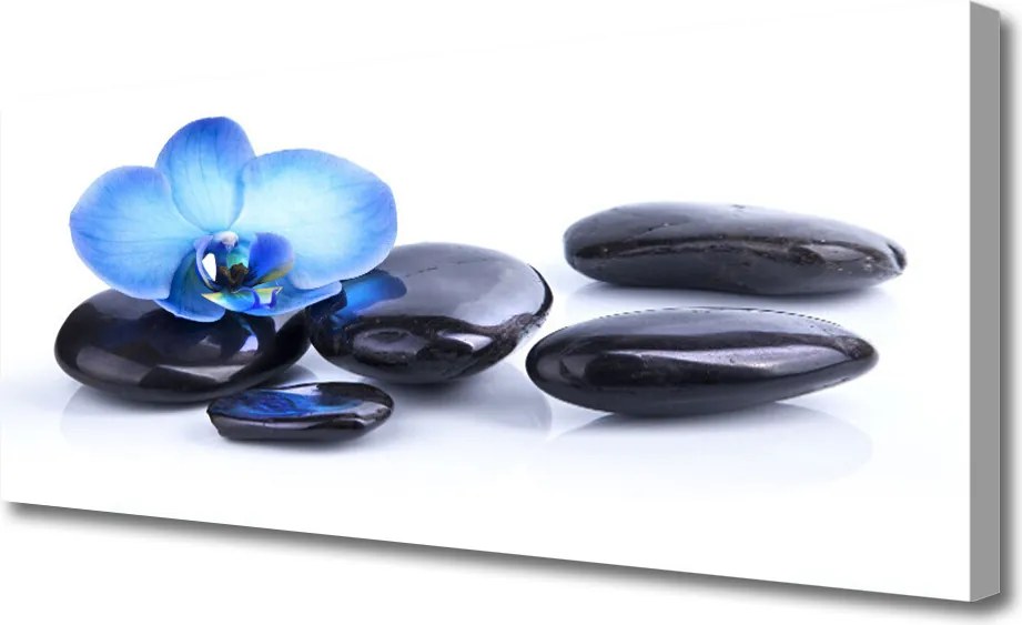 Obraz na płótnie Kwiatowa Harmonia na Kamieniach