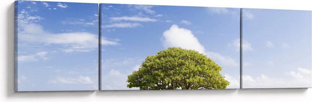 Obraz plaży z drzewem (170x50 cm)