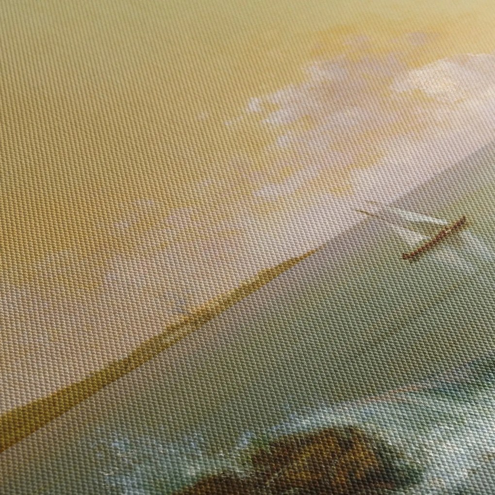 Obraz - Martin Johnson Heade, Rio de Janeiro Bay, reprodukcje (125x70 cm)