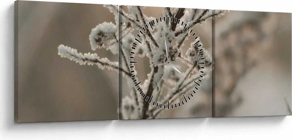 Obraz - Roślina w mrozie (z zegarem) (90x30 cm)
