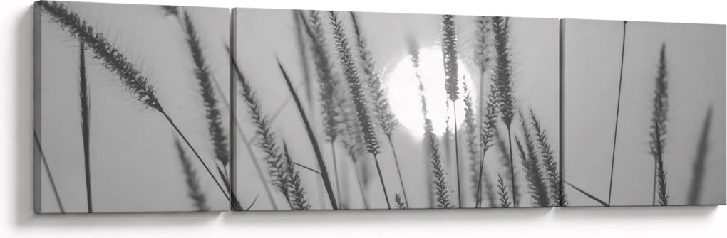 Obraz - Łąka o zachodzie słońca (170x50 cm)