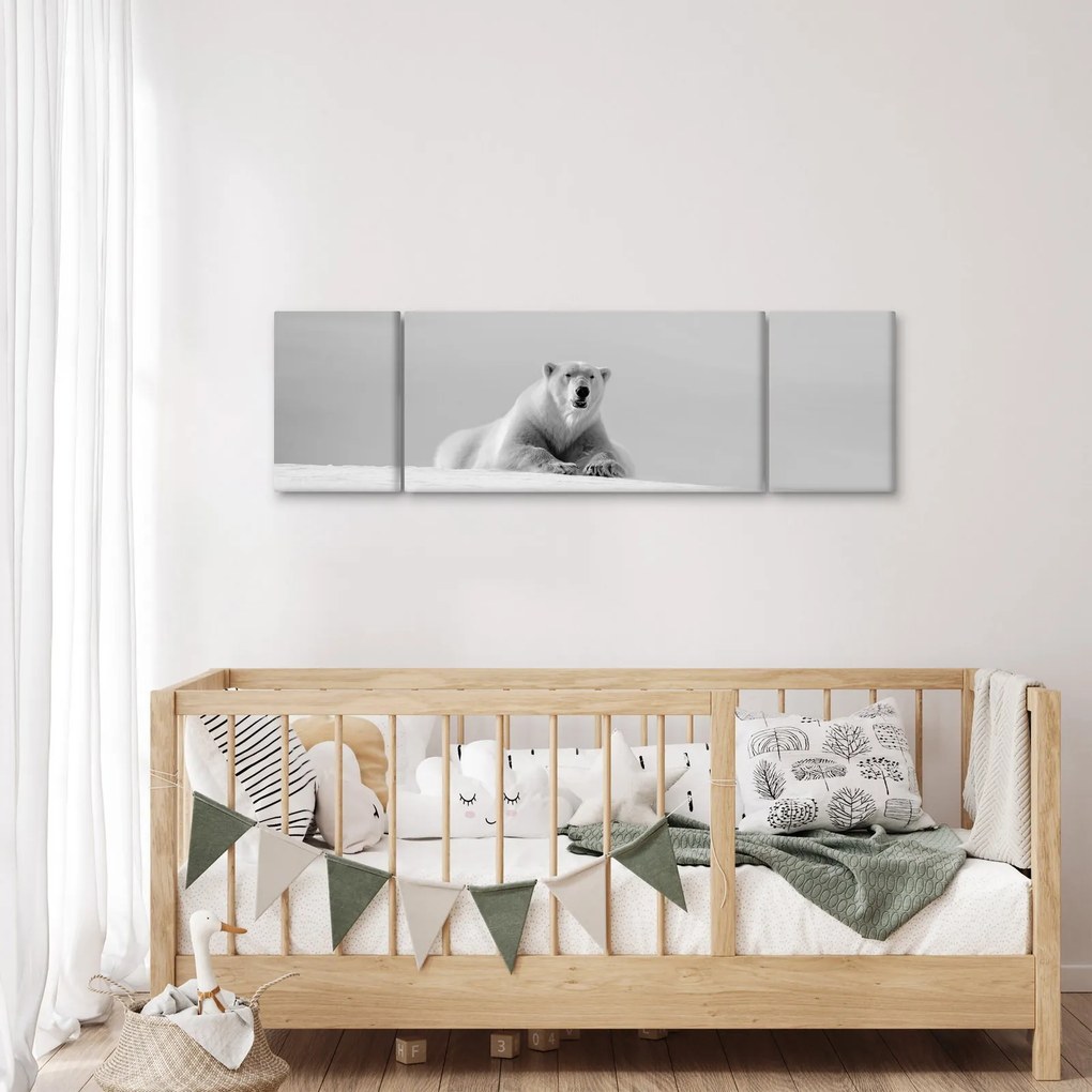 Obraz - Niedźwiedź polarny (170x50 cm)
