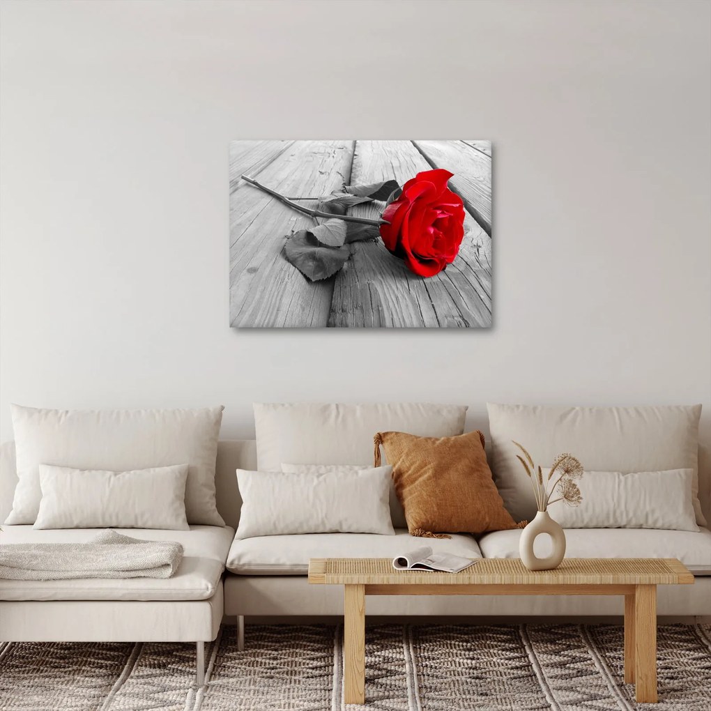 Obraz czerwonej róży (70x50 cm)
