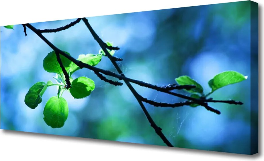 Obraz canvas Świeże Liście na Gałązce