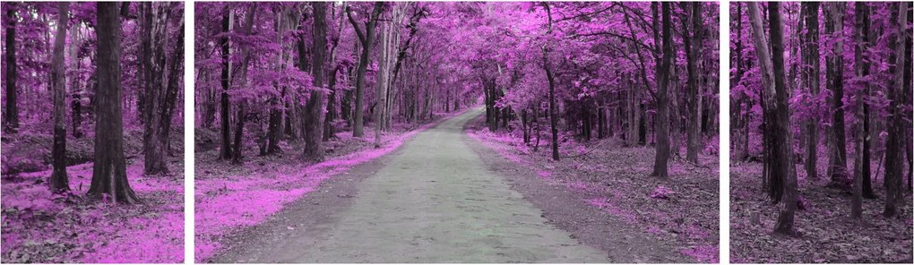 Obraz - Ścieżka przez park (170x50 cm)