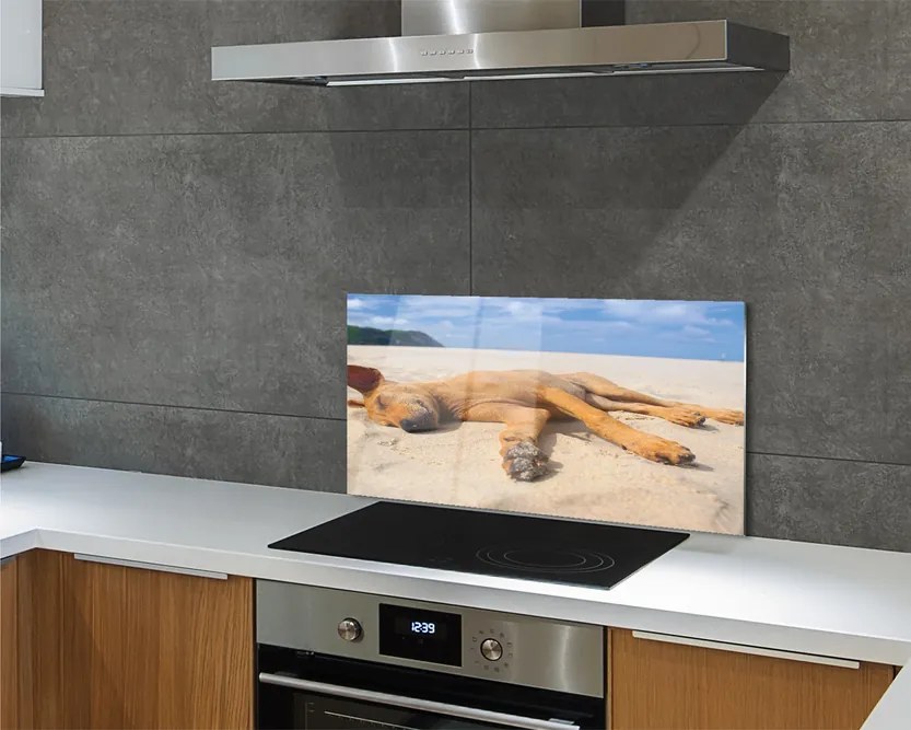 Szklany Panel Relaks Psa na Gorącym Piasku