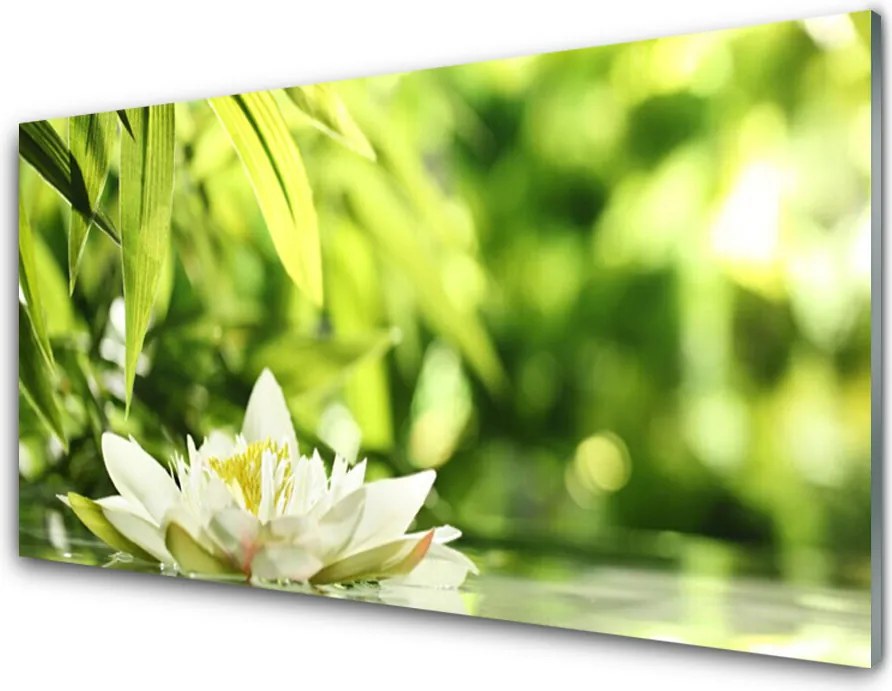 Panel Kuchenny Duet Kwiatu I Liści