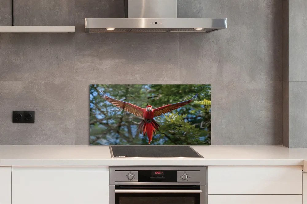 Panel szklany do Kuchni Majestatyczna Papuga Ara