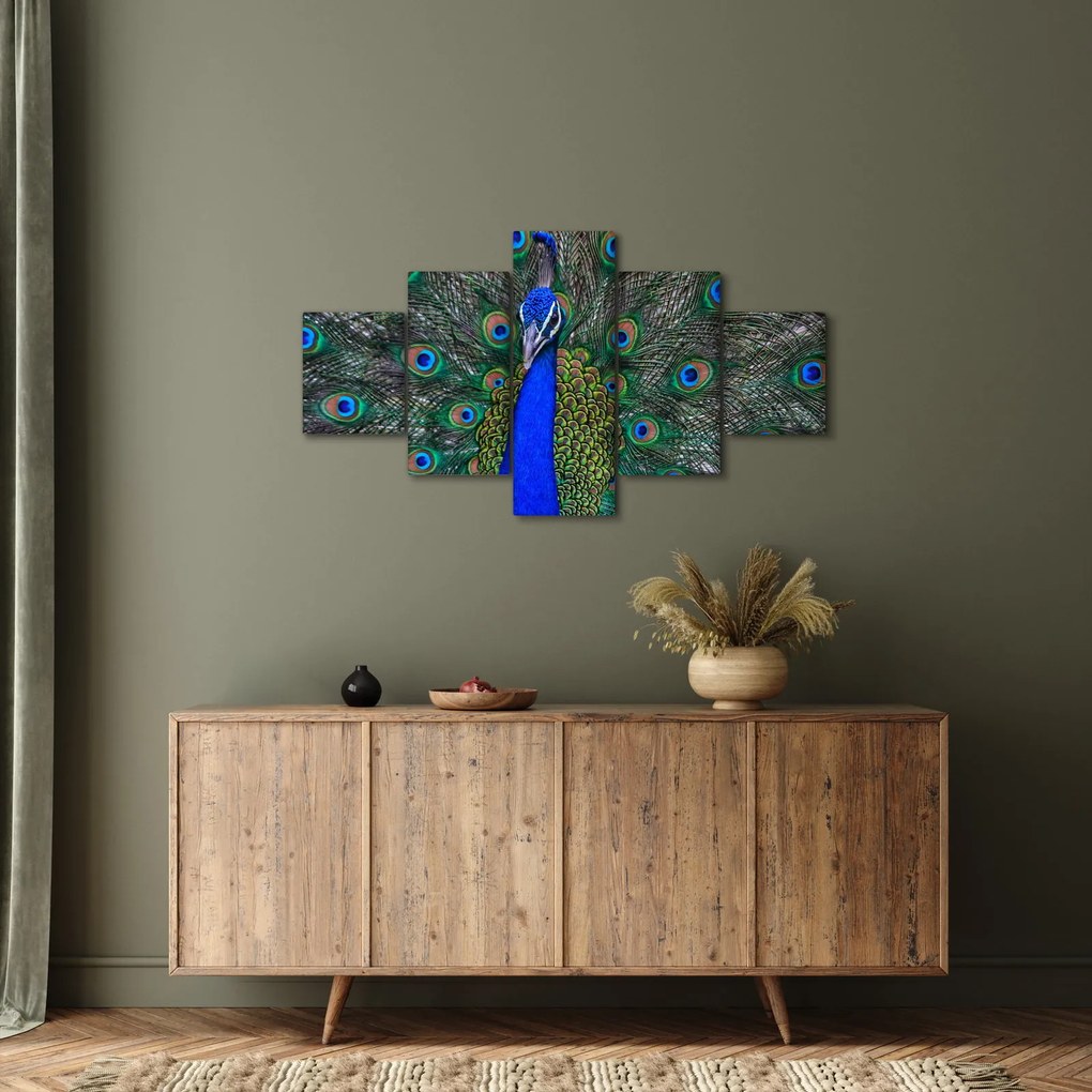 Obraz - Paw (125x70 cm)
