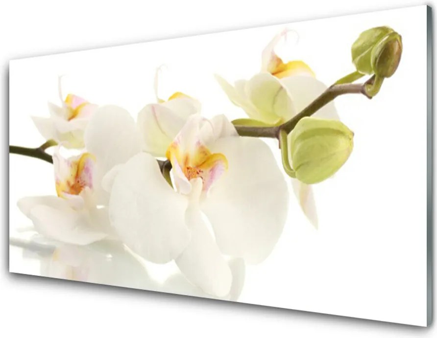 Szkło Dekoracyjne do Kuchni Letnia Kompozycja Kwiatowa