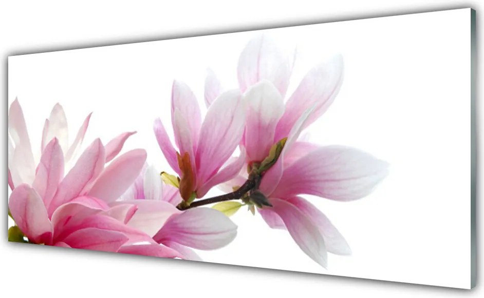 Panel Kuchenny Subtelny Kwiat Magnolii