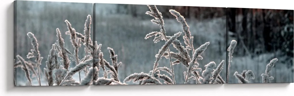Obraz - Frozen Meadow (170x50 cm)