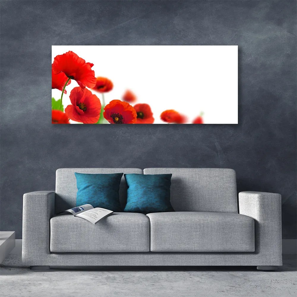 Zdjęcie na płótnie Czerwone Maki w Słońcu