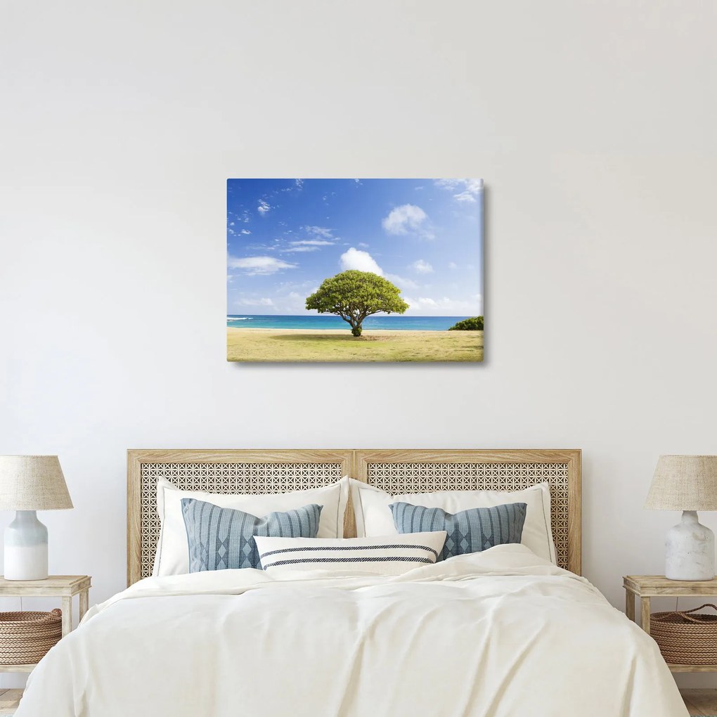 Obraz plaży z drzewem (70x50 cm)