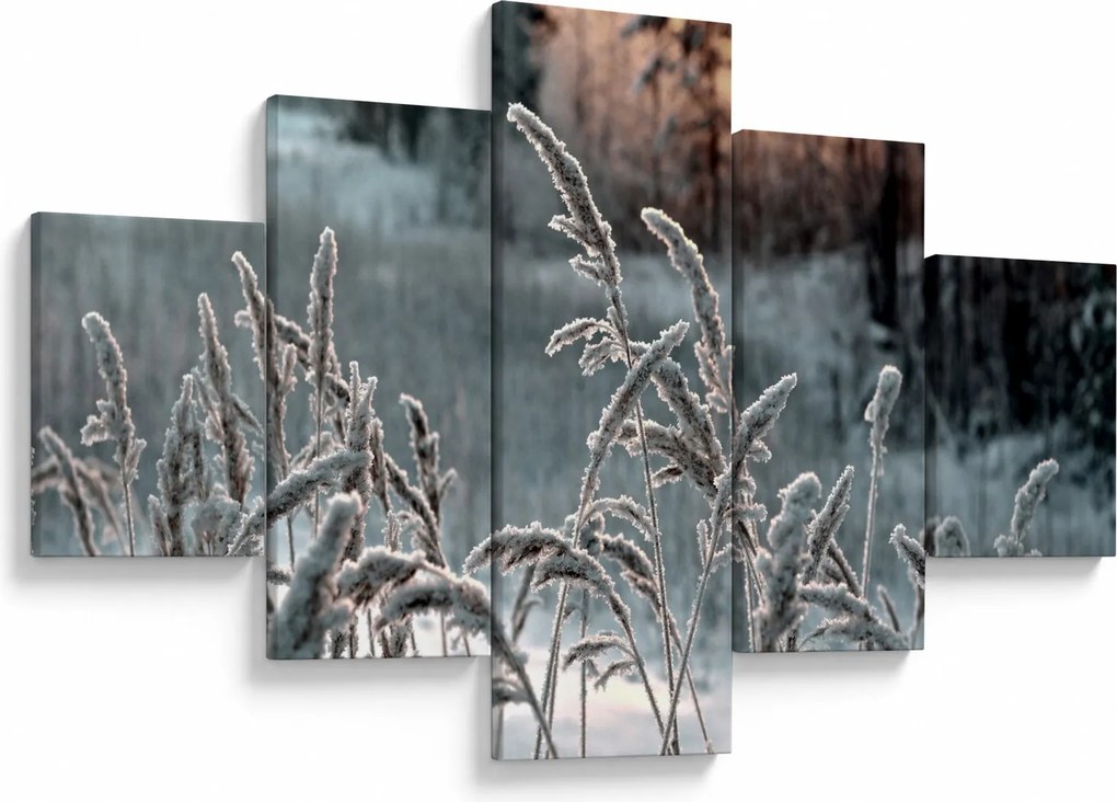 Obraz - Frozen Meadow (125x70 cm)