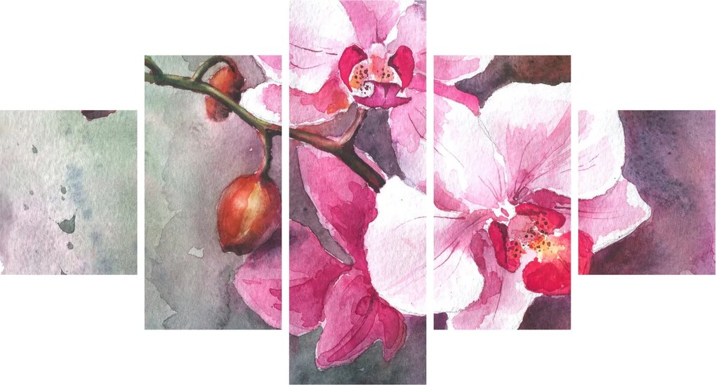 Obraz - Orchidee, akwarela (125x70 cm)