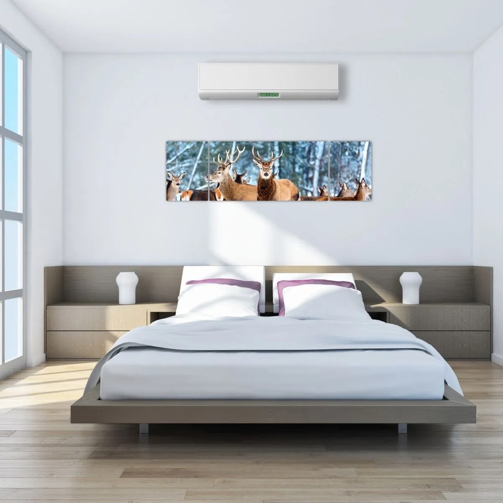 Obraz - Stado jeleni (170x50 cm)
