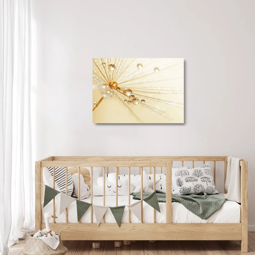 Obraz na szkle - Zdjęcie makro mniszka lekarskiego (70x50 cm)