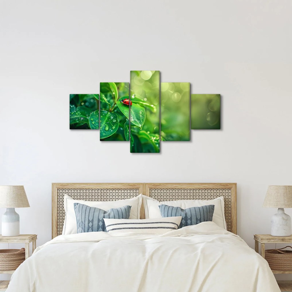 Obraz - Biedronka (125x70 cm)