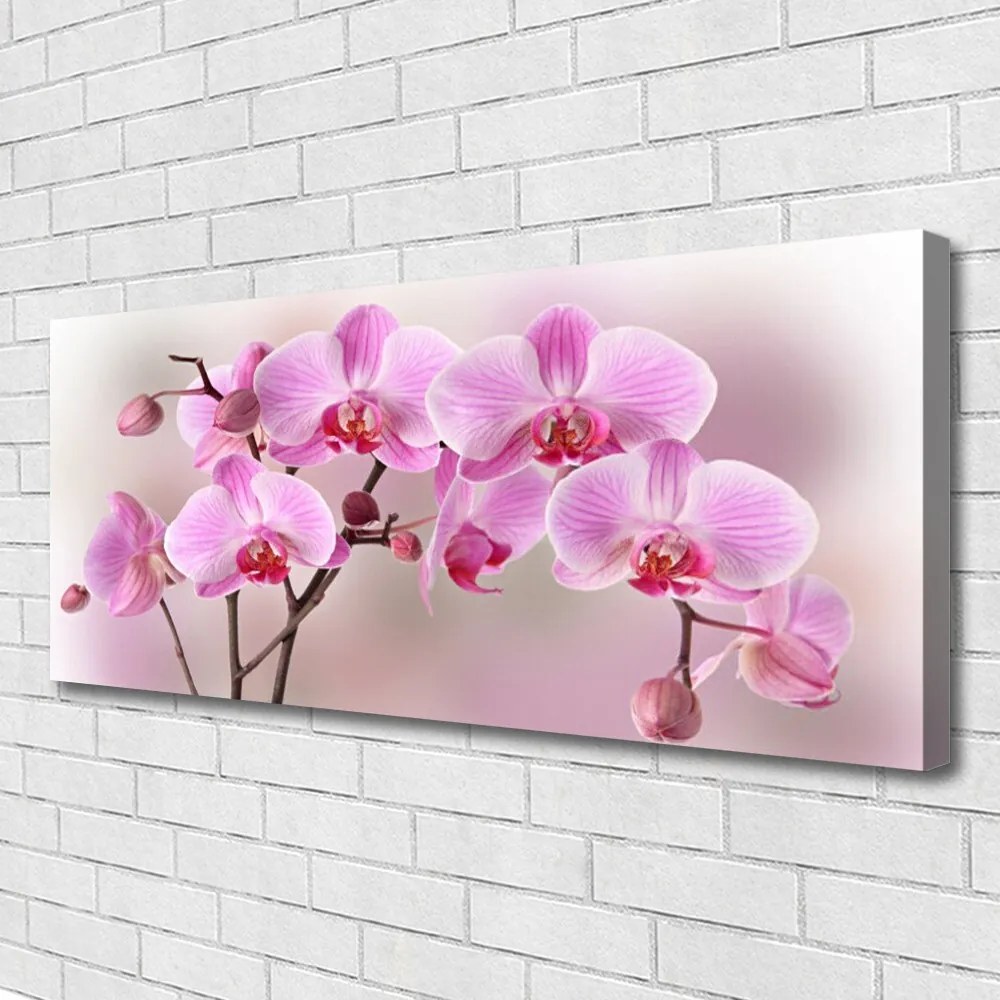 Zdjęcie na płótnie Pastelowy Bukiet Botaniczny