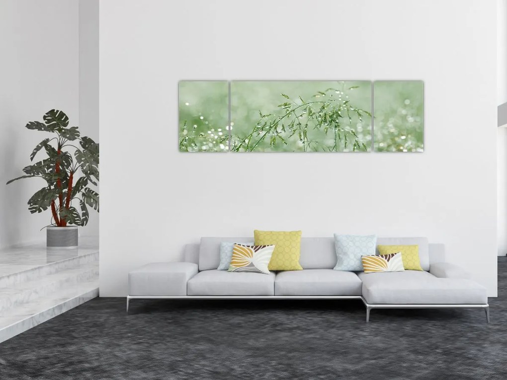 Obraz - Poranna rosa na źdźbłach trawy (170x50 cm)