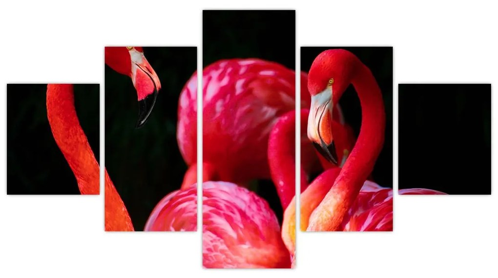 Obraz czerwonych flamingów (125x70 cm)