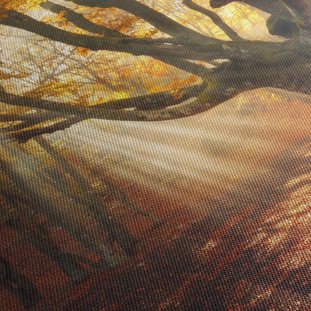 Obraz - Jesienny świt (125x70 cm)