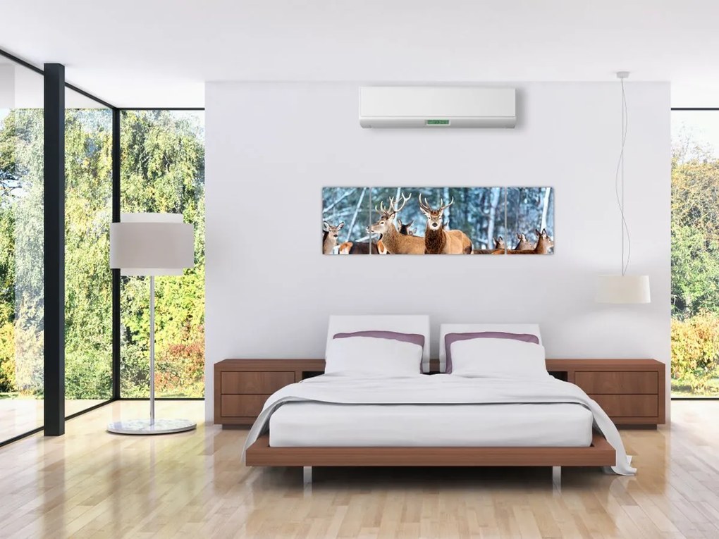 Obraz - Stado jeleni (170x50 cm)