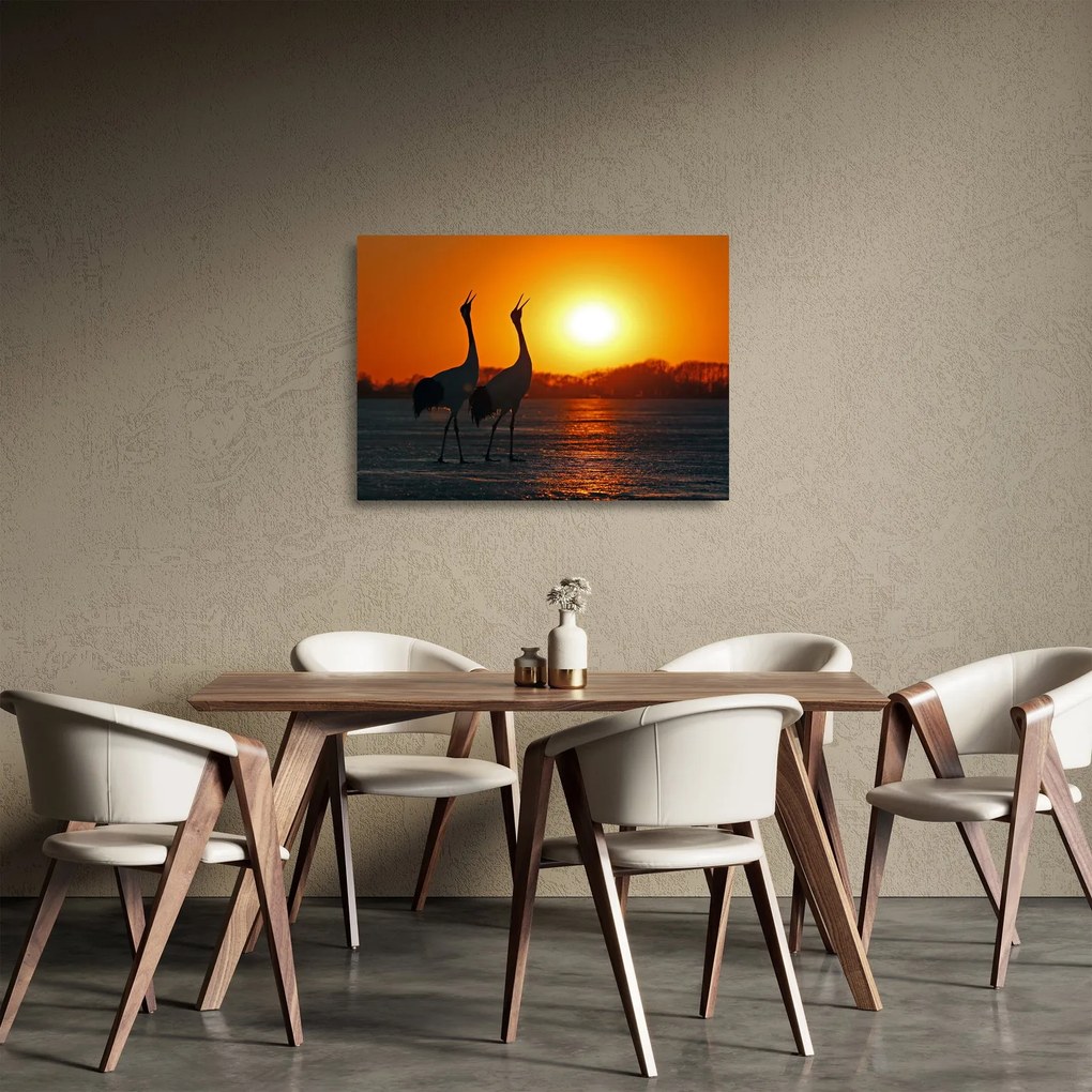 Obraz na szkle ptaków o zachodzie słońca (70x50 cm)
