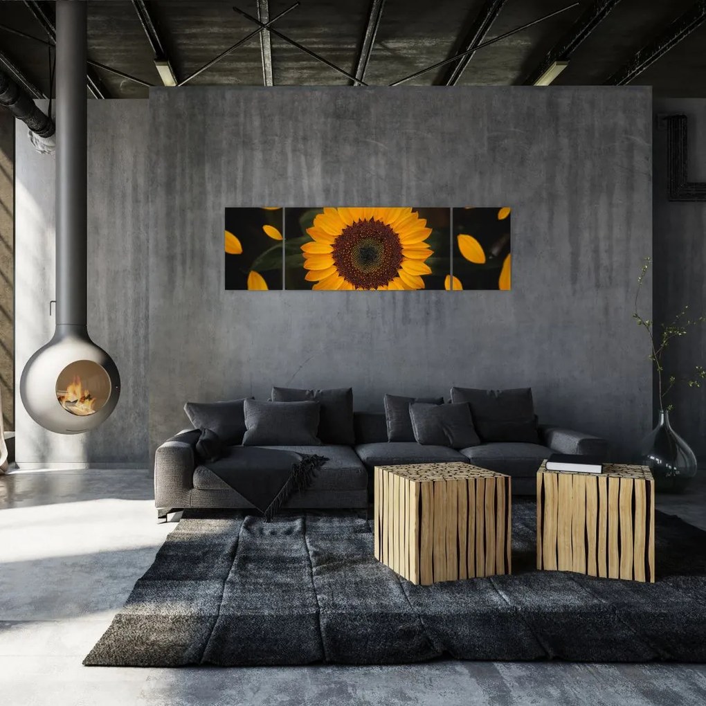 Obraz  - Słonecznik i płatki kwiatów (170x50 cm)