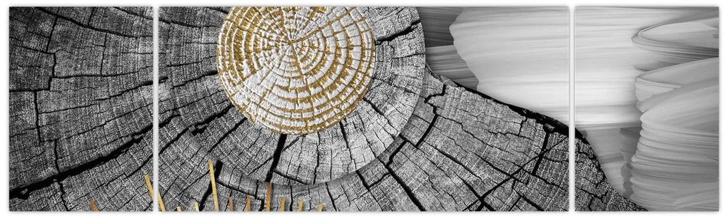 Obraz - Pień drzewa w kolażu (170x50 cm)