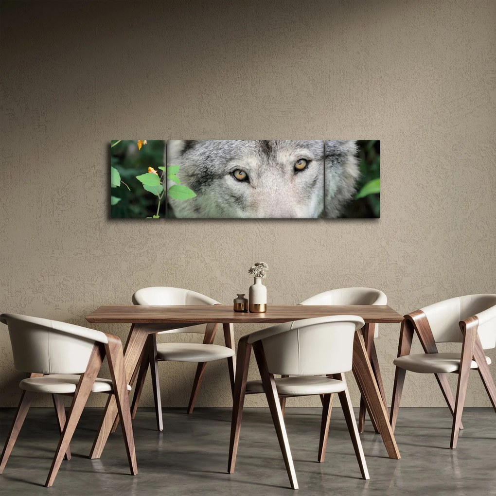 Obraz - Portret wilka (170x50 cm)