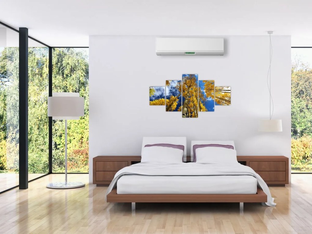 Obraz - Aspen (125x70 cm)