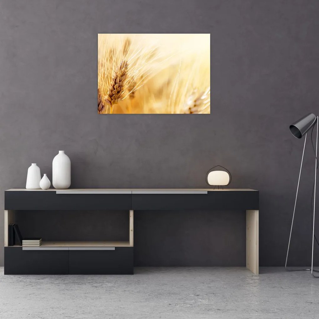 Obraz - szczegóły ziarna (70x50 cm)