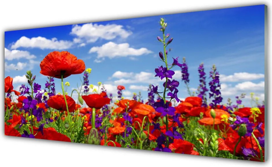 Panel Kuchenny Smukłe Pąki Tulipanów