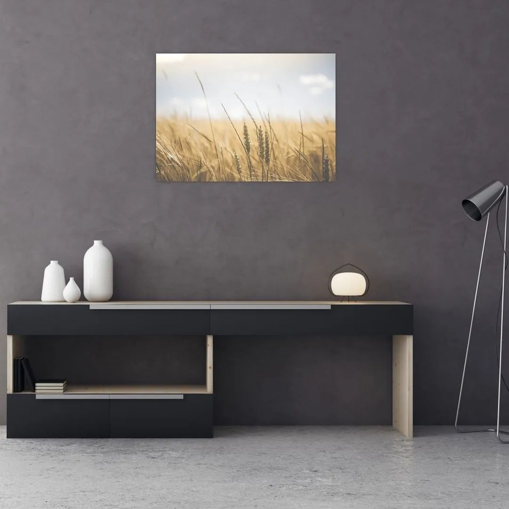 Obraz ziarna (70x50 cm)