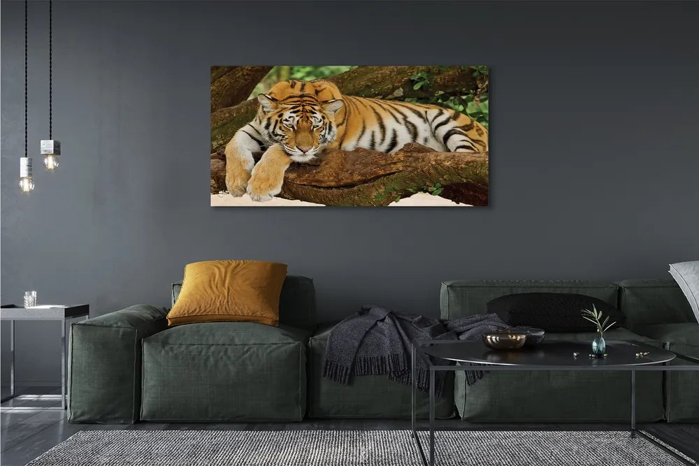 Obraz canvas na ścianę Tygrys na Drzewie