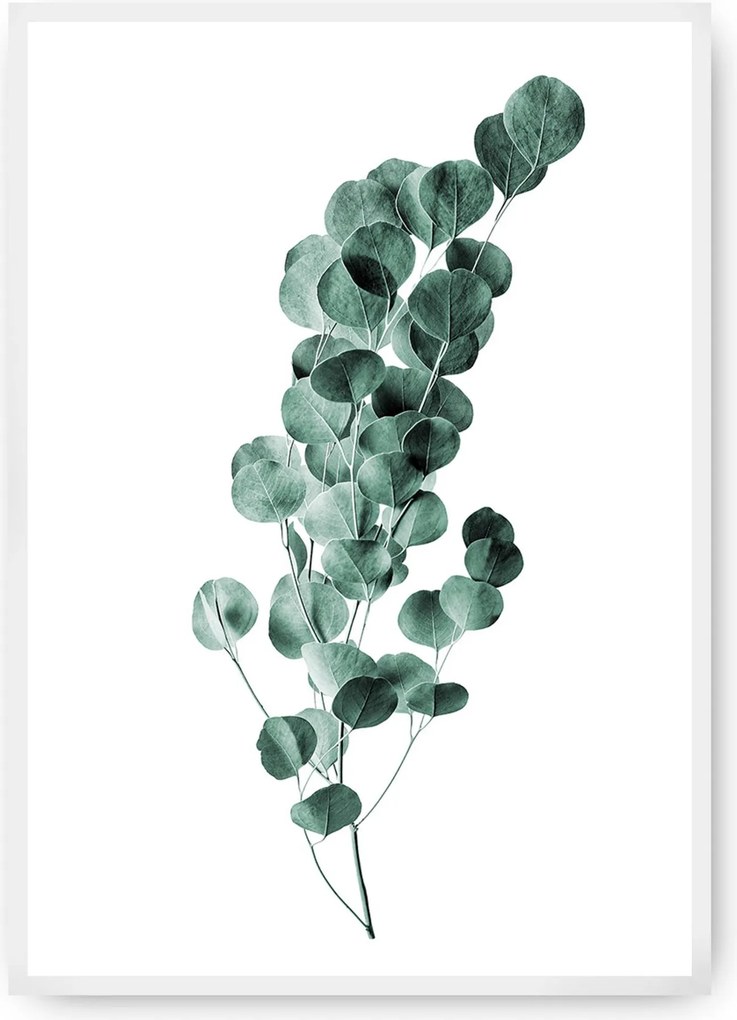 Plakat Eucalyptus Emerald Green