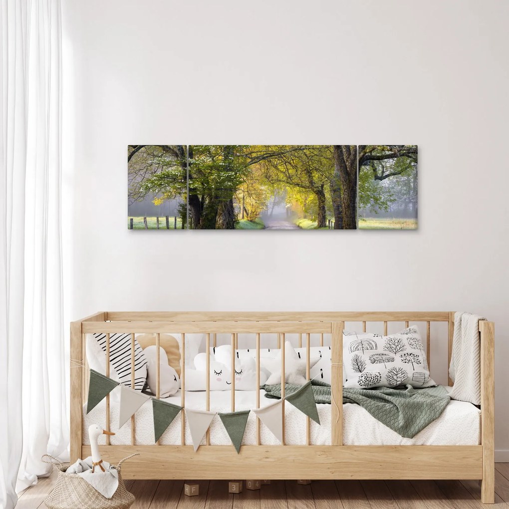 Zdjęcie - Smoky Mountains, Gatlinburg, USA (170x50 cm)