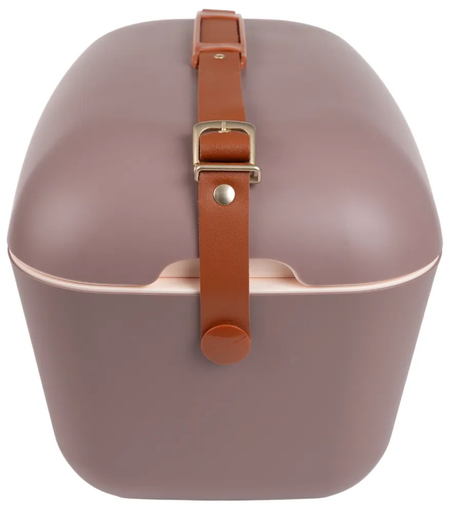 Polarbox Pojemnik chłodzący Classic Gold 12 l, brązowy, 12 l
