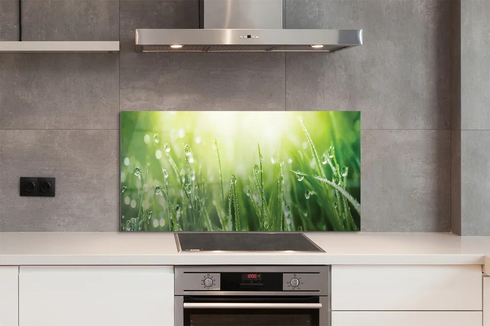 Szklany Panel Krople Rosy w Słońcu