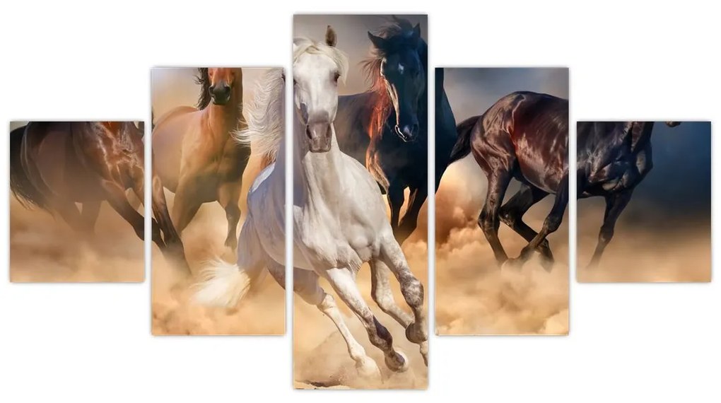 Obraz - Konie na pustyni (125x70 cm)