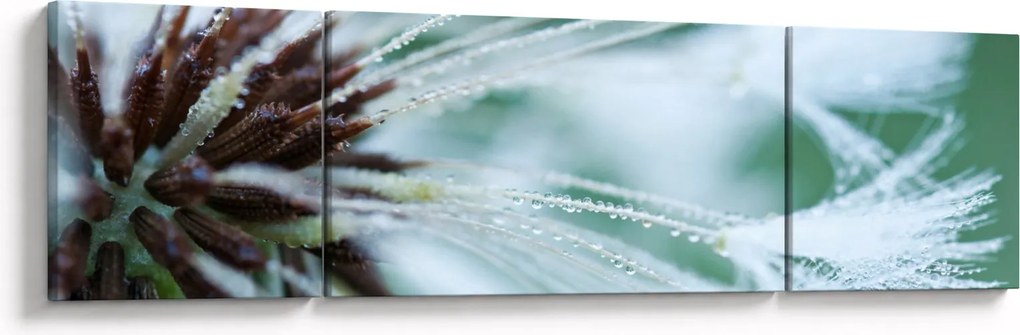 Obraz - Detal kwiatu (170x50 cm)
