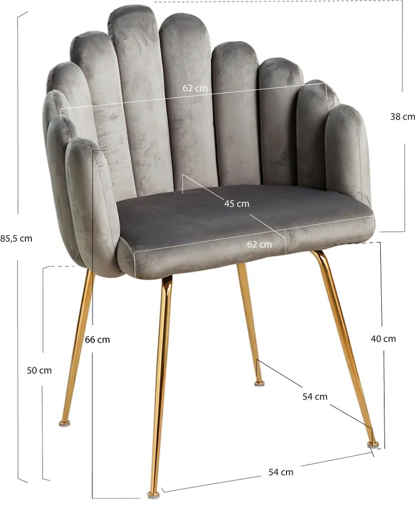 Aksamitne krzeso Bhoja