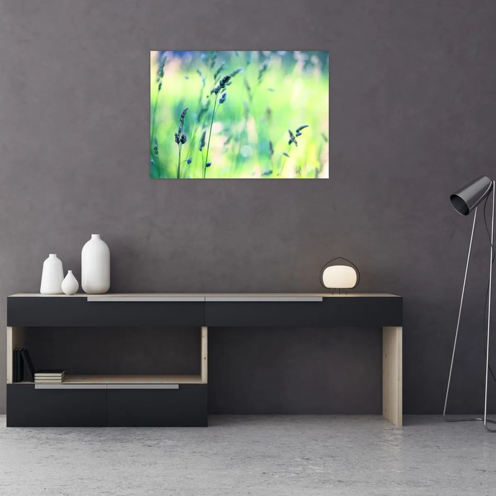 Obraz - Szczegół łąki (70x50 cm)